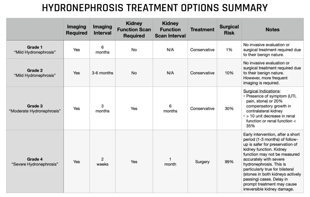 Hydronephrosis Treatment Options Summary Chart