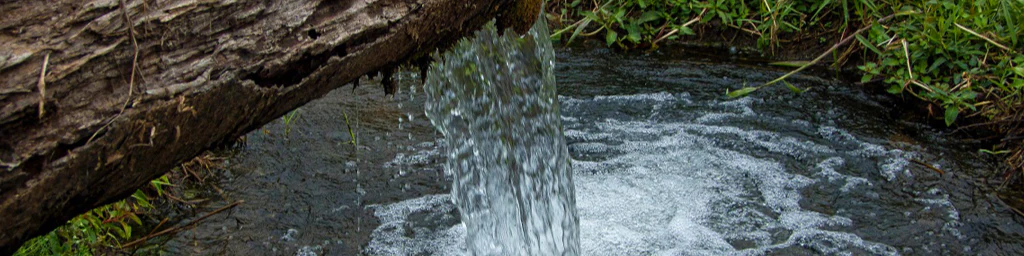 Photo of spring water