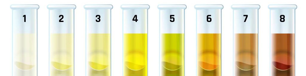 How to tell you are hydrated through urine color