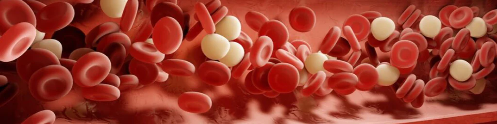 Illustration of Anticoagulation