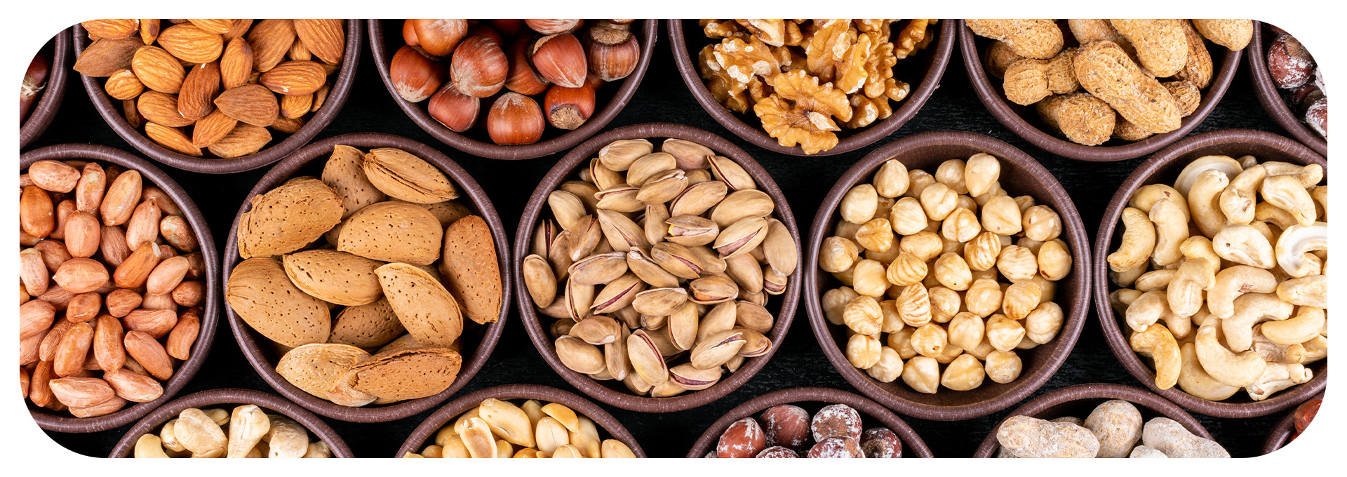Set of pecan, pistachios, almond, peanut, cashew, pine nuts in a mini different bowls