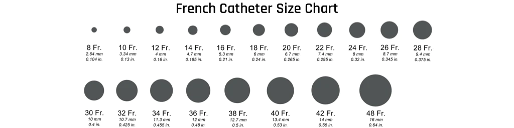 French Catheter Scale