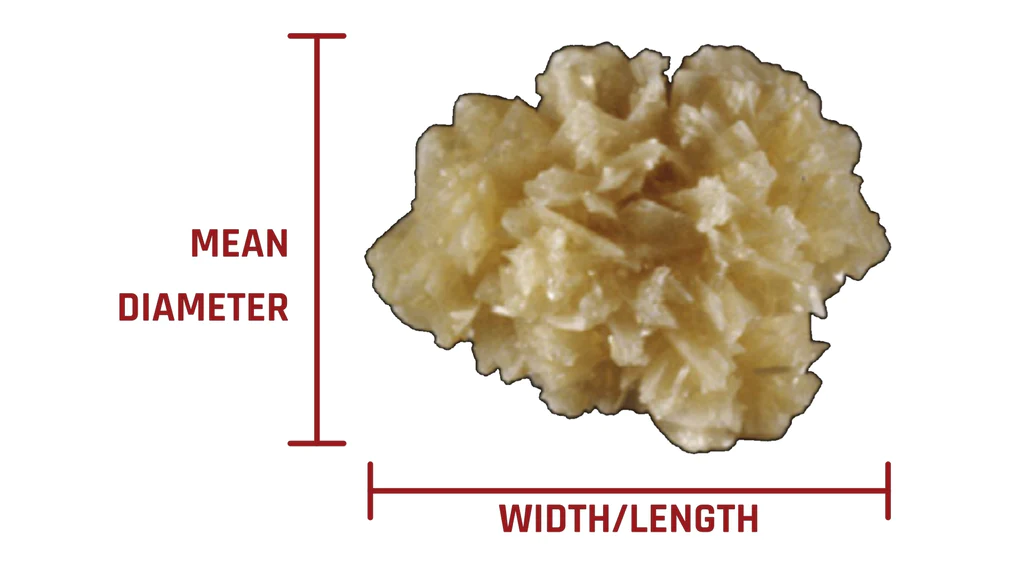 Kidney Stone Mean Diameter vs Width/Length