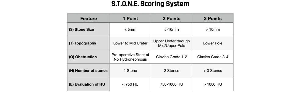 S.T.O.N.E. Scoring System Chart