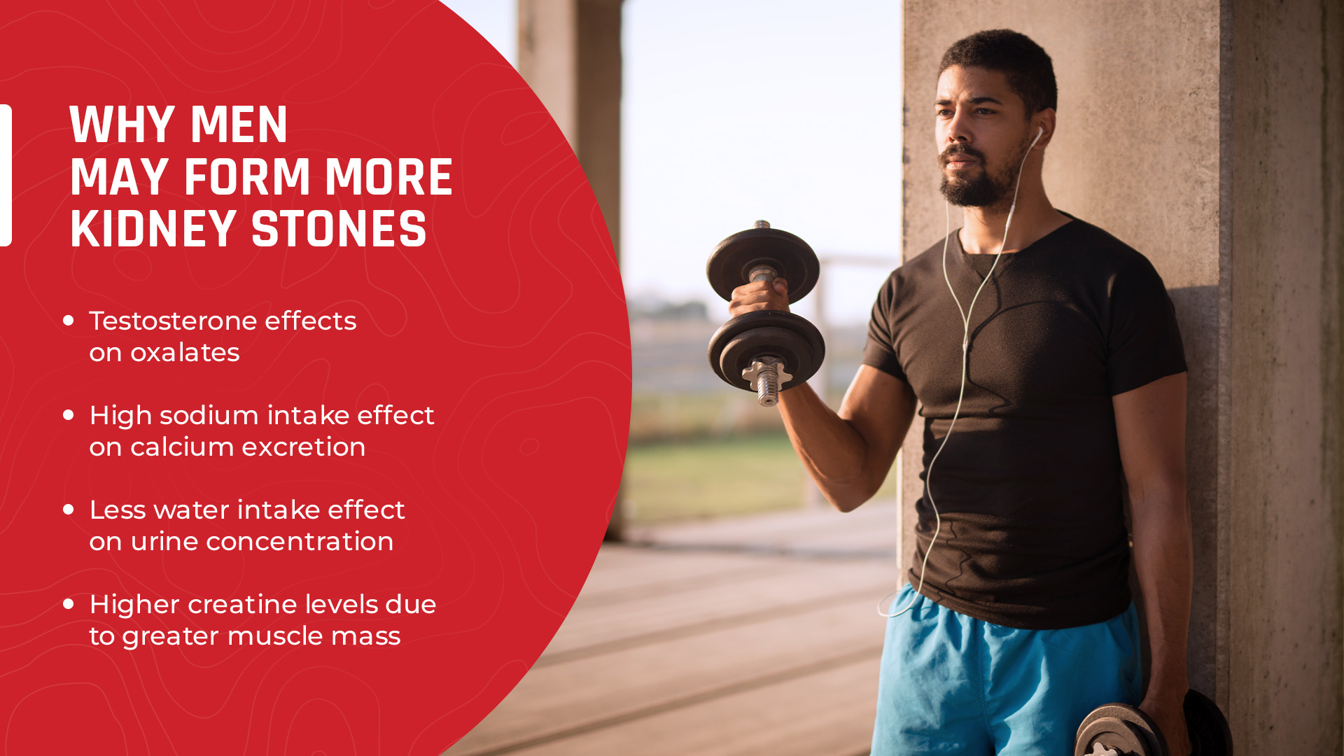 Infographics showing some possible factors why men form more kidney stones than women