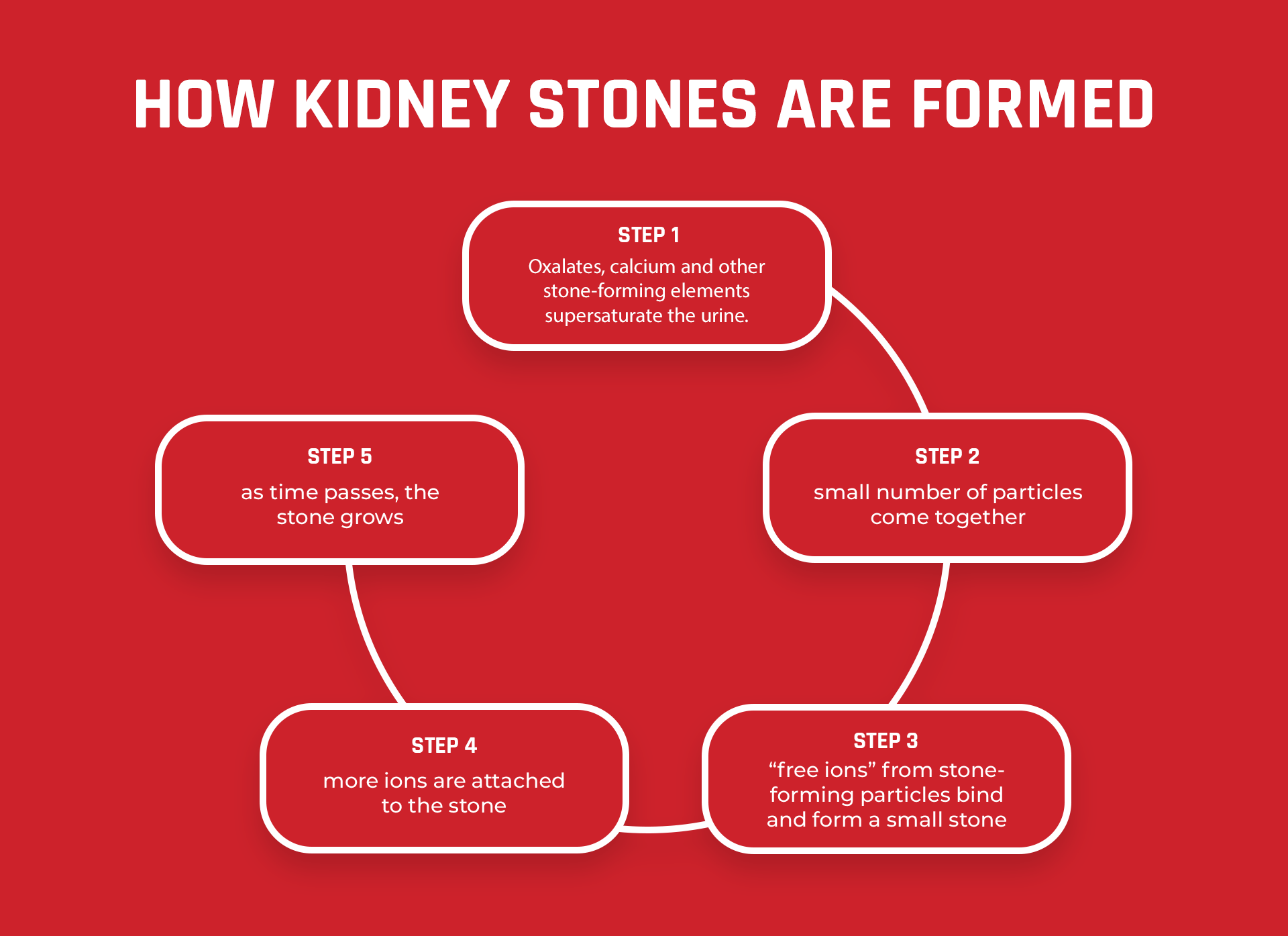 Chart showing how kidney stones are formed