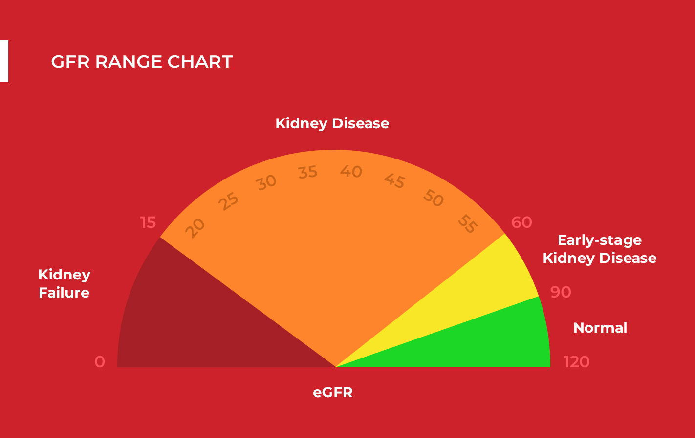 Estimated Glomerular Filtration Rate (eGFR) Test for Kidney Function.