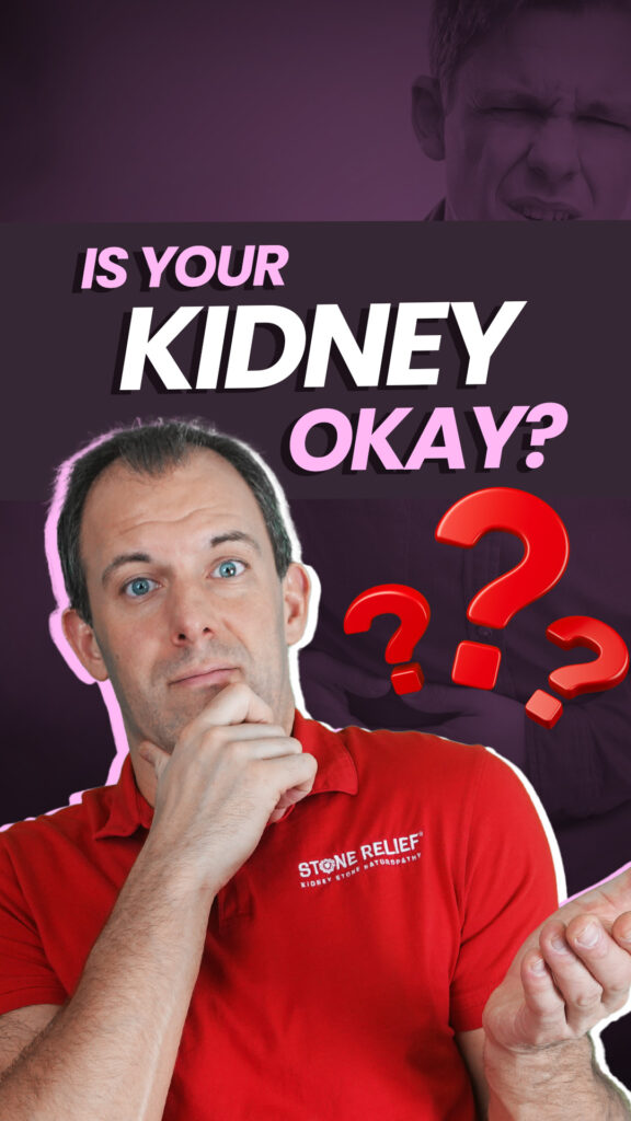 Kidney Stone and Kidney Function Connection