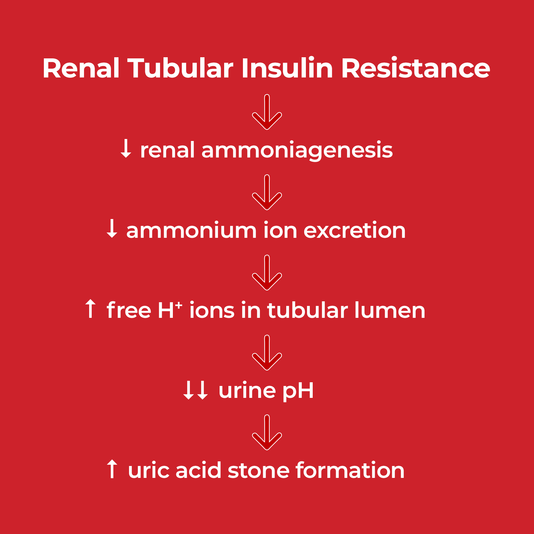 How Insulin Resistance Lead to Uric Acid Stones